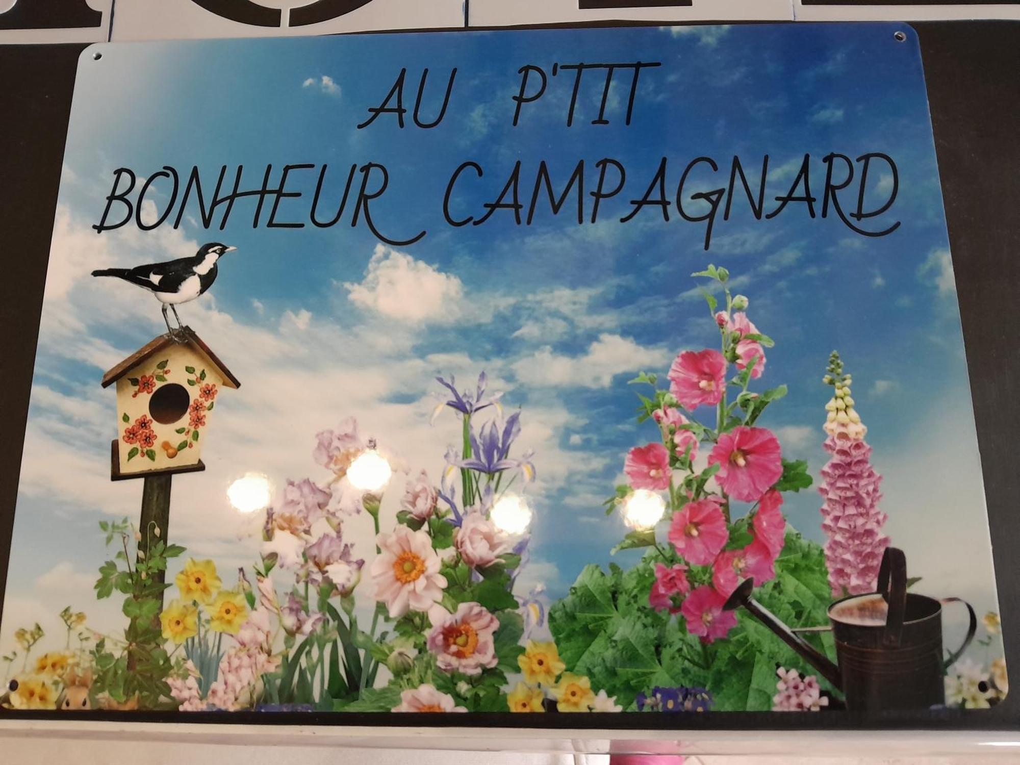 Chambres D Hotes Au P'Tit Bonheur Campagnard Jarnosse エクステリア 写真